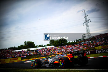 2024-07-20 - 81 Oscar Piastri, (AUS) McLaren Mercedes during the Hungarian GP, Budapest 18-21 July 2024 Formula 1 World championship 2024. - FORMULA 1 HUNGARIAN GRAND PRIX 2024 - PRACTICE 3 AND QUALIFYING - FORMULA 1 - MOTORS