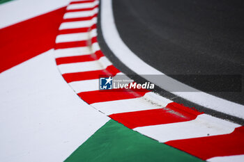 2024-07-18 - Kerbs illustration, track, piste during the Formula 1 Hungarian Grand Prix 2024, 13th round of the 2024 Formula One World Championship from July 19 to 21, 2024 on the Hungaroring, in Mogyorod, Hungary - F1 - HUNGARIAN GRAND PRIX 2024 - FORMULA 1 - MOTORS