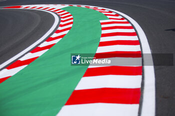 2024-07-18 - Kerbs illustration, track, piste during the Formula 1 Hungarian Grand Prix 2024, 13th round of the 2024 Formula One World Championship from July 19 to 21, 2024 on the Hungaroring, in Mogyorod, Hungary - F1 - HUNGARIAN GRAND PRIX 2024 - FORMULA 1 - MOTORS