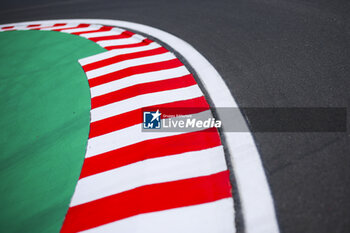 2024-07-18 - Kerbs illustration, track, piste during the Formula 1 Hungarian Grand Prix 2024, 13th round of the 2024 Formula One World Championship from July 19 to 21, 2024 on the Hungaroring, in Mogyorod, Hungary - F1 - HUNGARIAN GRAND PRIX 2024 - FORMULA 1 - MOTORS