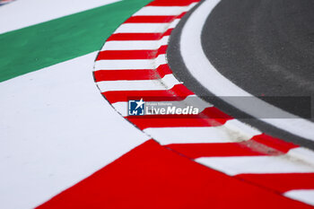 2024-07-18 - Kerbs illustration, track, piste during the Formula 1 Hungarian Grand Prix 2024, 13th round of the 2024 Formula One World Championship from July 19 to 21, 2024 on the Hungaroring, in Mogyorod, Hungary - F1 - HUNGARIAN GRAND PRIX 2024 - FORMULA 1 - MOTORS