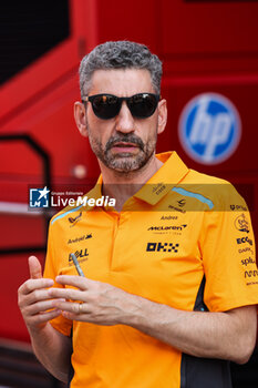 2024-07-18 - STELLA Andrea (ita), Team Principal of McLaren F1 Team, portrait during the Formula 1 Hungarian Grand Prix 2024, 13th round of the 2024 Formula One World Championship from July 19 to 21, 2024 on the Hungaroring, in Mogyorod, Hungary - F1 - HUNGARIAN GRAND PRIX 2024 - FORMULA 1 - MOTORS