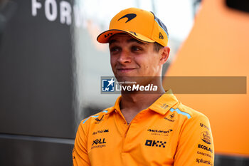 2024-07-18 - NORRIS Lando (gbr), McLaren F1 Team MCL38, portrait during the Formula 1 Hungarian Grand Prix 2024, 13th round of the 2024 Formula One World Championship from July 19 to 21, 2024 on the Hungaroring, in Mogyorod, Hungary - F1 - HUNGARIAN GRAND PRIX 2024 - FORMULA 1 - MOTORS