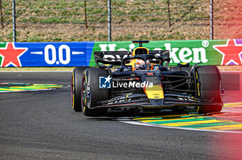 2024-07-21 - Max Verstappen (NED) - Oracle Red Bull Racing - Red Bull RB20 - Honda RBPT during Raceday on Sunday, July 21, of Formula 1 Hungarian Grand Prix 2024, scheduled to take place at Hungaroring track in Mogyorod, Budapest, Hungary, july 19 to july 21, 2024 - FORMULA 1 HUNGARIAN GRAND PRIX 2024 - RACE - FORMULA 1 - MOTORS