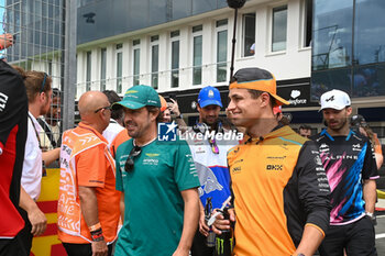 2024-07-21 - Fernando Alonso (ESP) - Aston Martin Aramco F1 Team - Aston Martin AMR24 - Mercedes andLando Norris (GBR) - McLaren Formula 1 Team - McLaren MCL38 - Mercedes during Raceday on Sunday, July 21, of Formula 1 Hungarian Grand Prix 2024, scheduled to take place at Hungaroring track in Mogyorod, Budapest, Hungary, july 19 to july 21, 2024 - FORMULA 1 HUNGARIAN GRAND PRIX 2024 - RACE - FORMULA 1 - MOTORS