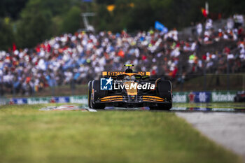 2024-07-20 - 04 NORRIS Lando (gbr), McLaren F1 Team MCL38, action during the Formula 1 Hungarian Grand Prix 2024, 13th round of the 2024 Formula One World Championship from July 19 to 21, 2024 on the Hungaroring, in Mogyorod, Hungary - F1 - HUNGARIAN GRAND PRIX 2024 - FORMULA 1 - MOTORS