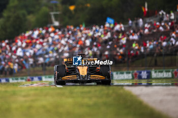 2024-07-20 - 81 PIASTRI Oscar (aus), McLaren F1 Team MCL38, action during the Formula 1 Hungarian Grand Prix 2024, 13th round of the 2024 Formula One World Championship from July 19 to 21, 2024 on the Hungaroring, in Mogyorod, Hungary - F1 - HUNGARIAN GRAND PRIX 2024 - FORMULA 1 - MOTORS