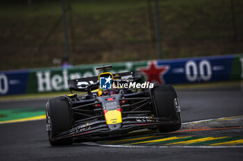 2024-07-20 - 01 VERSTAPPEN Max (nld), Red Bull Racing RB20, action during the Formula 1 Hungarian Grand Prix 2024, 13th round of the 2024 Formula One World Championship from July 19 to 21, 2024 on the Hungaroring, in Mogyorod, Hungary - F1 - HUNGARIAN GRAND PRIX 2024 - FORMULA 1 - MOTORS