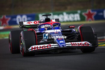 2024-07-20 - 03 RICCIARDO Daniel (aus), Visa Cash App RB F1 Team VCARB 01, action during the Formula 1 Hungarian Grand Prix 2024, 13th round of the 2024 Formula One World Championship from July 19 to 21, 2024 on the Hungaroring, in Mogyorod, Hungary - F1 - HUNGARIAN GRAND PRIX 2024 - FORMULA 1 - MOTORS