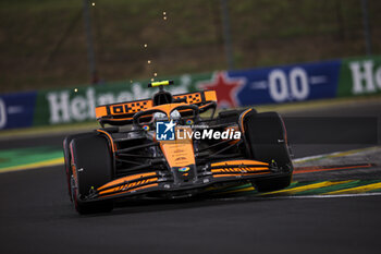 2024-07-20 - 04 NORRIS Lando (gbr), McLaren F1 Team MCL38, action during the Formula 1 Hungarian Grand Prix 2024, 13th round of the 2024 Formula One World Championship from July 19 to 21, 2024 on the Hungaroring, in Mogyorod, Hungary - F1 - HUNGARIAN GRAND PRIX 2024 - FORMULA 1 - MOTORS