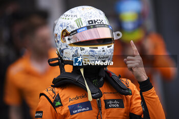 2024-07-20 - NORRIS Lando (gbr), McLaren F1 Team MCL38, portrait during the Formula 1 Hungarian Grand Prix 2024, 13th round of the 2024 Formula One World Championship from July 19 to 21, 2024 on the Hungaroring, in Mogyorod, Hungary - F1 - HUNGARIAN GRAND PRIX 2024 - FORMULA 1 - MOTORS