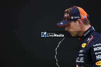 2024-07-20 - VERSTAPPEN Max (ned), Red Bull Racing RB20, portrait during the Formula 1 Hungarian Grand Prix 2024, 13th round of the 2024 Formula One World Championship from July 19 to 21, 2024 on the Hungaroring, in Mogyorod, Hungary - F1 - HUNGARIAN GRAND PRIX 2024 - FORMULA 1 - MOTORS