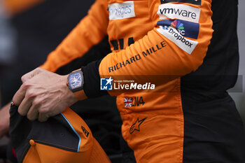 2024-07-20 - NORRIS Lando (gbr), McLaren F1 Team MCL38, portrait during the Formula 1 Hungarian Grand Prix 2024, 13th round of the 2024 Formula One World Championship from July 19 to 21, 2024 on the Hungaroring, in Mogyorod, Hungary - F1 - HUNGARIAN GRAND PRIX 2024 - FORMULA 1 - MOTORS