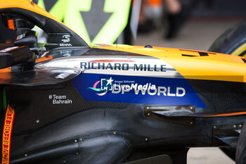 2024-10-17 - Richard Mille, sticker during the Formula 1 Pirelli United States Grand Prix 2024, 19th round of the 2024 Formula One World Championship from October 18 to 20, 2024 on the Circuit of the Americas, in Austin, United States of America - F1 - US GRAND PRIX 2024 - FORMULA 1 - MOTORS