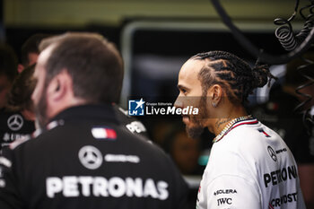 25/10/2024 - HAMILTON Lewis (gbr), Mercedes AMG F1 Team W15, portrait during the Formula 1 Gran Premio de la Ciudad de Mexico 2024, 20th round of the 2024 Formula One World Championship from October 25 to 27, 2024 on the Autodromo Hermanos Rodriguez, in Mexico City, Mexico - F1 - MEXICO CITY GRAND PRIX 2024 - FORMULA 1 - MOTORI