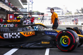 25/10/2024 - O’WARD Pato (mex), McLaren F1 Reserve driver, portrait during the Formula 1 Gran Premio de la Ciudad de Mexico 2024, 20th round of the 2024 Formula One World Championship from October 25 to 27, 2024 on the Autodromo Hermanos Rodriguez, in Mexico City, Mexico - F1 - MEXICO CITY GRAND PRIX 2024 - FORMULA 1 - MOTORI