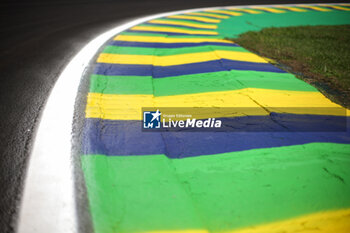 31/10/2024 - Autodromo of Interlagos Brasil flag colours kerbs paint atmosphere during the Formula 1 Grande Premio de Sao Paulo 2024, 21th round of the 2024 Formula One World Championship from November 1 to 3, 2024 on the Interlagos Circuit, in Sao Paulo, Brazil - F1 - SAO PAULO GRAND PRIX 2024 - FORMULA 1 - MOTORI