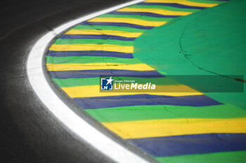 31/10/2024 - Autodromo of Interlagos Brasil flag colours kerbs paint atmosphere during the Formula 1 Grande Premio de Sao Paulo 2024, 21th round of the 2024 Formula One World Championship from November 1 to 3, 2024 on the Interlagos Circuit, in Sao Paulo, Brazil - F1 - SAO PAULO GRAND PRIX 2024 - FORMULA 1 - MOTORI