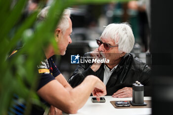 31/10/2024 - WHEATLEY Jonathan (gbr), Team Manager of Red Bull Racing, portrait ECCLESTONE Bernie (gbr), former CEO of Formula One Group, portrait during the Formula 1 Grande Premio de Sao Paulo 2024, 21th round of the 2024 Formula One World Championship from November 1 to 3, 2024 on the Interlagos Circuit, in Sao Paulo, Brazil - F1 - SAO PAULO GRAND PRIX 2024 - FORMULA 1 - MOTORI