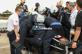 31/10/2024 - FIA extrication marshall, commissaire de piste, marshal, marshalls, marshals during the Formula 1 Grande Premio de Sao Paulo 2024, 21th round of the 2024 Formula One World Championship from November 1 to 3, 2024 on the Interlagos Circuit, in Sao Paulo, Brazil - F1 - SAO PAULO GRAND PRIX 2024 - FORMULA 1 - MOTORI