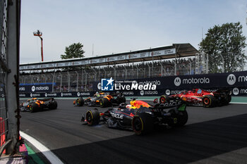 02/11/2024 - start of the race, depart, 81 PIASTRI Oscar (aus), McLaren F1 Team MCL38, action 04 NORRIS Lando (gbr), McLaren F1 Team MCL38, action 01 VERSTAPPEN Max (nld), Red Bull Racing RB20, action 16 LECLERC Charles (mco), Scuderia Ferrari SF-24, action during the Formula 1 Grande Premio de Sao Paulo 2024, 21th round of the 2024 Formula One World Championship from November 1 to 3, 2024 on the Interlagos Circuit, in Sao Paulo, Brazil - F1 - SAO PAULO GRAND PRIX 2024 - FORMULA 1 - MOTORI