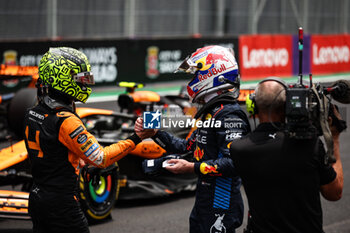 02/11/2024 - NORRIS Lando (gbr), McLaren F1 Team MCL38, portrait VERSTAPPEN Max (ned), Red Bull Racing RB20, portrait during the Formula 1 Grande Premio de Sao Paulo 2024, 21th round of the 2024 Formula One World Championship from November 1 to 3, 2024 on the Interlagos Circuit, in Sao Paulo, Brazil - F1 - SAO PAULO GRAND PRIX 2024 - FORMULA 1 - MOTORI