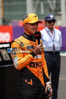 02/11/2024 - NORRIS Lando (gbr), McLaren F1 Team MCL38, portrait during the Formula 1 Grande Premio de Sao Paulo 2024, 21th round of the 2024 Formula One World Championship from November 1 to 3, 2024 on the Interlagos Circuit, in Sao Paulo, Brazil - F1 - SAO PAULO GRAND PRIX 2024 - FORMULA 1 - MOTORI