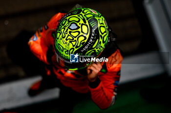 02/11/2024 - NORRIS Lando (gbr), McLaren F1 Team MCL38, portrait starting grid during the Formula 1 Grande Premio de Sao Paulo 2024, 21th round of the 2024 Formula One World Championship from November 1 to 3, 2024 on the Interlagos Circuit, in Sao Paulo, Brazil - F1 - SAO PAULO GRAND PRIX 2024 - FORMULA 1 - MOTORI