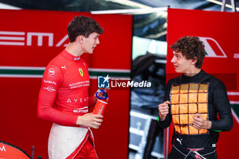 2024-07-21 - ANTONELLI Andrea Kimi (ita), Prema Racing, Dallara F2 2024, BEARMAN Oliver (gbr), Prema Racing, Dallara F2 2024, portrait during the 9th round of the 2024 FIA Formula 2 Championship from July 19 to 21, 2024 on the Hungaroring, in Mogyorod, Hungary - AUTO - FORMULA 2 2024 - HUNGARORING - FORMULA 2 - MOTORS