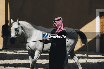 2024-01-24 - At-Turaif historic district ambiance during the 2024 Diriyah E-Prix, 2nd meeting of the 2023-24 ABB FIA Formula E World Championship, on the Riyadh Street Circuit from January 25 to 27, in Diriyah, Saudi Arabia - 2024 FORMULA E DIRIYAH E-PRIX - FORMULA E - MOTORS