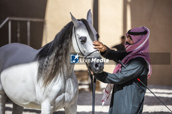 2024-01-24 - At-Turaif historic district ambiance during the 2024 Diriyah E-Prix, 2nd meeting of the 2023-24 ABB FIA Formula E World Championship, on the Riyadh Street Circuit from January 25 to 27, in Diriyah, Saudi Arabia - 2024 FORMULA E DIRIYAH E-PRIX - FORMULA E - MOTORS