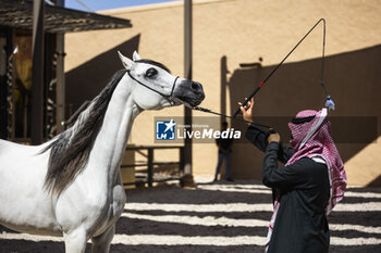 2024-01-24 - At-Turaif historic district ambiance during the 2024 Diriyah E-Prix, 2nd meeting of the 2023-24 ABB FIA Formula E World Championship, on the Riyadh Street Circuit from January 25 to 27, in Diriyah, Saudi Arabia - 2024 FORMULA E DIRIYAH E-PRIX - FORMULA E - MOTORS