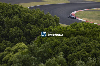 2024-05-25 - 18 DARUVALA Jehan (ind), Maserati MSG Racing, Maserati Tipo Folgore, action during the 2024 Shanghai ePrix, 8th meeting of the 2023-24 ABB FIA Formula E World Championship, on the Shanghai International Circuit from May 24 to 26, 2024 in Shanghai, China - 2024 FORMULA E SHANGHAI EPRIX - FORMULA E - MOTORS