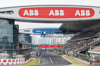 2024-05-25 - grille de depart, starting grid, during the 2024 Shanghai ePrix, 8th meeting of the 2023-24 ABB FIA Formula E World Championship, on the Shanghai International Circuit from May 24 to 26, 2024 in Shanghai, China - 2024 FORMULA E SHANGHAI EPRIX - FORMULA E - MOTORS