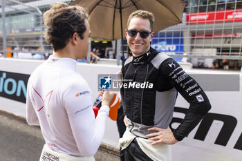 2024-05-26 - VANDOORNE Stoffel (bel), DS Penske, DS E-Tense FE23, portraiton the grid during the 2024 Shanghai ePrix, 8th meeting of the 2023-24 ABB FIA Formula E World Championship, on the Shanghai International Circuit from May 24 to 26, 2024 in Shanghai, China - 2024 FORMULA E SHANGHAI EPRIX - FORMULA E - MOTORS