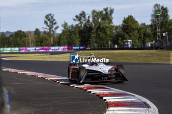 2024-06-29 - 17 NATO Norman (fra), Andretti Global, Porsche 99X Electric, action during the 2024 Portland ePrix, 9th meeting of the 2023-24 ABB FIA Formula E World Championship, on the Portland International Raceway from June 28 to 30, 2024 in Portland, United States of America - 2024 FORMULA E PORTLAND EPRIX - FORMULA E - MOTORS