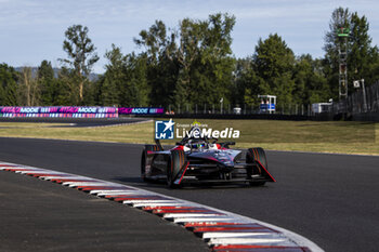 2024-06-29 - 13 DA COSTA Antonio Felix (prt), TAG HEUER Porsche Formula E Team, Porsche 99X Electric, action during the 2024 Portland ePrix, 9th meeting of the 2023-24 ABB FIA Formula E World Championship, on the Portland International Raceway from June 28 to 30, 2024 in Portland, United States of America - 2024 FORMULA E PORTLAND EPRIX - FORMULA E - MOTORS