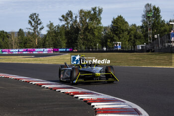 2024-06-29 - 03 SETTE CAMARA Sergio (bra), ERT Formula E Team, ERT X24, action during the 2024 Portland ePrix, 9th meeting of the 2023-24 ABB FIA Formula E World Championship, on the Portland International Raceway from June 28 to 30, 2024 in Portland, United States of America - 2024 FORMULA E PORTLAND EPRIX - FORMULA E - MOTORS