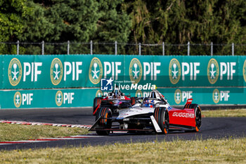 2024-06-29 - 17 NATO Norman (fra), Andretti Global, Porsche 99X Electric, action during the 2024 Portland ePrix, 9th meeting of the 2023-24 ABB FIA Formula E World Championship, on the Portland International Raceway from June 28 to 30, 2024 in Portland, United States of America - 2024 FORMULA E PORTLAND EPRIX - FORMULA E - MOTORS