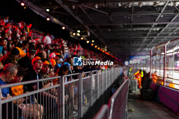 2024-07-20 - Fans during the 2024 Hankook London ePrix, 10th meeting of the 2023-24 ABB FIA Formula E World Championship, on the ExCeL London from June 18 to 21, 2024 in London, United Kingdom - 2024 FORMULA E LONDON EPRIX - FORMULA E - MOTORS