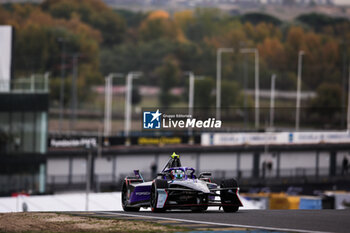 2024-11-05 - 13 DA COSTA Antonio Felix (prt), TAG Heuer Porsche Formula E Team, Porsche 99X Electric, action during the pre-season testing of the 2024-25 ABB FIA Formula E World Championship, on the Circuit del Jarama from November 5 to 8, 2024 in San Sebastián de los Reyes, Spain - 2025 FORMULA E PRE-SEASON TEST - FORMULA E - MOTORS