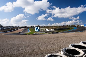 2024-11-07 - Start of the simulation race during the pre-season testing of the 2024-25 ABB FIA Formula E World Championship, on the Circuit del Jarama from November 5 to 8, 2024 in San Sebastián de los Reyes, Spain - 2025 FORMULA E PRE-SEASON TEST - FORMULA E - MOTORS