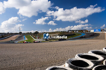 2024-11-07 - Start of the simulation race during the pre-season testing of the 2024-25 ABB FIA Formula E World Championship, on the Circuit del Jarama from November 5 to 8, 2024 in San Sebastián de los Reyes, Spain - 2025 FORMULA E PRE-SEASON TEST - FORMULA E - MOTORS