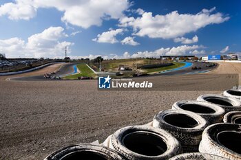 2024-11-07 - Start of the simulation race during the pre-season testing of the 2024-25 ABB FIA Formula E World Championship, on the Circuit del Jarama from November 5 to 8, 2024 in San Sebastián de los Reyes, Spain - 2025 FORMULA E PRE-SEASON TEST - FORMULA E - MOTORS