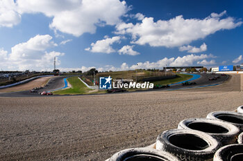 2024-11-07 - Start of the simulation race during the pre-season testing of the 2024-25 ABB FIA Formula E World Championship, on the Circuit del Jarama from November 5 to 8, 2024 in San Sebastián de los Reyes, Spain - 2025 FORMULA E PRE-SEASON TEST - FORMULA E - MOTORS