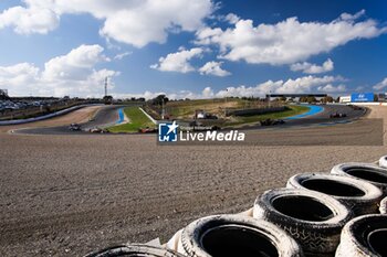 2024-11-07 - Start of the simulation race during the pre-season testing of the 2024-25 ABB FIA Formula E World Championship, on the Circuit del Jarama from November 5 to 8, 2024 in San Sebastián de los Reyes, Spain - 2025 FORMULA E PRE-SEASON TEST - FORMULA E - MOTORS