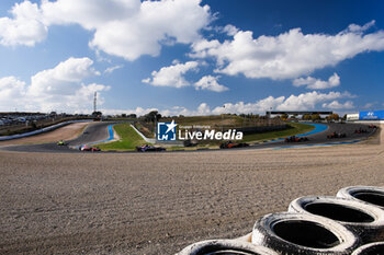 2024-11-07 - Start of the simulation race during the pre-season testing of the 2024-25 ABB FIA Formula E World Championship, on the Circuit del Jarama from November 5 to 8, 2024 in San Sebastián de los Reyes, Spain - 2025 FORMULA E PRE-SEASON TEST - FORMULA E - MOTORS