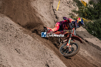 2024-04-07 - Motocross World Championship-Round 3-MXGP of SARDEGNA-Riola Sardo-07 Aprile 2024-MX2 Class-Andrea Adamo-Team KTM Factory - MXGP OF SARDEGNA - MOTOCROSS - MOTORS