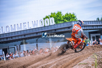 2024-07-28 - Motocross World Championship-Round 13-MXGP of Flanders (BeL)-28 Luglio 2024-MX2 Class-Sasha Coenen-Team KTM Factory - MXGP OF FLANDERS - MOTOCROSS - MOTORS