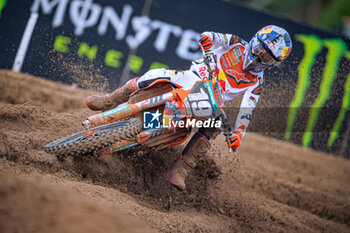 2024-07-28 - Motocross World Championship-Round 13-MXGP of Flanders (BeL)-28 Luglio 2024-MX2 Class-Sasha Coenen-Team KTM Factory - MXGP OF FLANDERS - MOTOCROSS - MOTORS